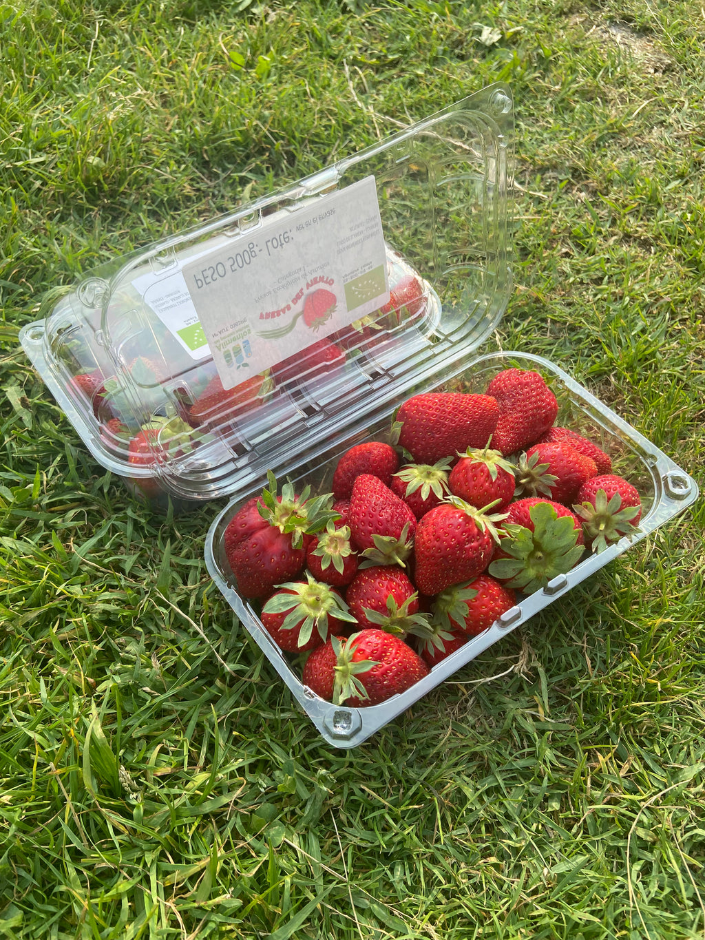 Fresas Ecológicas Asturianas