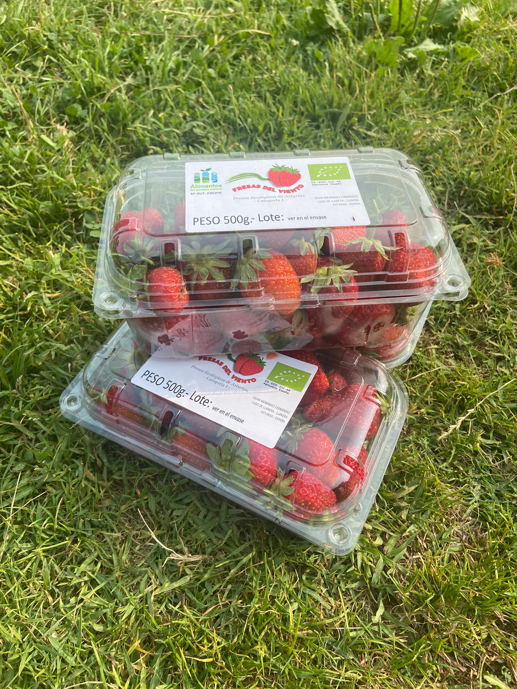 Fresas Ecológicas Asturianas