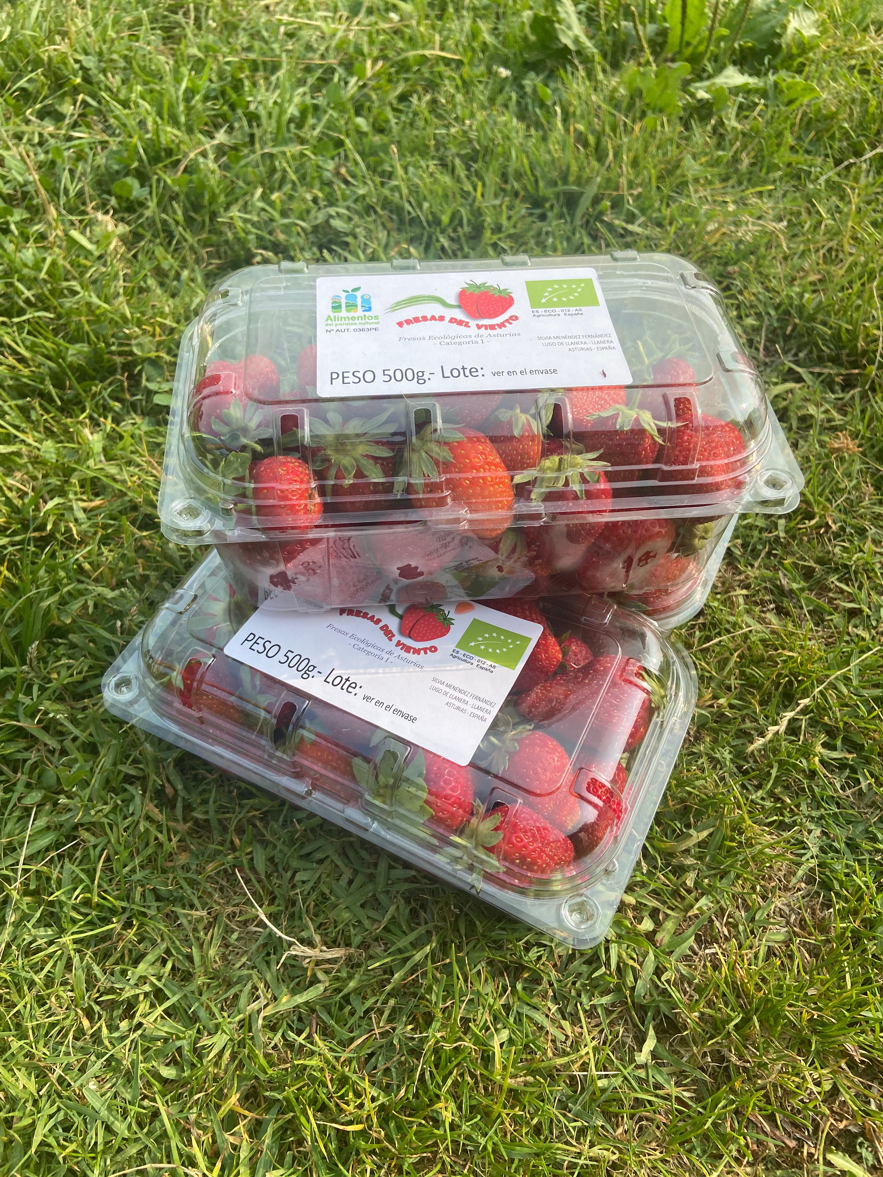 Fresas Ecológicas Asturianas